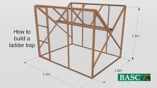 How to Build a Ladder Trap [upl. by Ylrae]