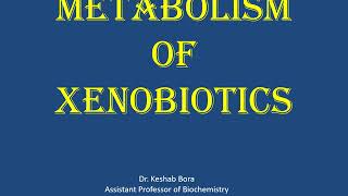 Metabolism of xenobiotics [upl. by Biel]