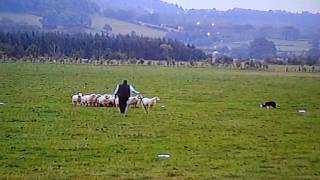 Jim Cropper and Sid World Sheepdog Championship 2002 [upl. by Mharg]