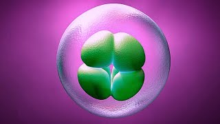 Mitosis and Meiosis in detail 7 minutes lecture [upl. by Cis]