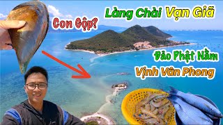 Vịnh Biển Lớn Nhất Khánh Hoà  Đứt Đoạn Con Đường Giữa Biển Đảo Điệp Sơn [upl. by Ilahsiav111]