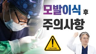 모발이식 후 가장 궁금한 주의사항 일상복귀 언제까지 티가 날까 샴푸시기 실밥제거 시기 운동가능 시기 생착기간 염색파마 시기 [upl. by Adnohsat]