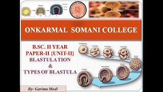 Lt9 Developmental Biology  Blastulation amp Types of Blastula  BSc II Year [upl. by Lessur192]