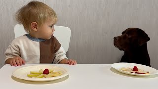 FUNNIEST Baby and Dog Duo Ever [upl. by Suivatna]