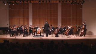 Vivaldi Cello Concerto in B minor RV 424 Movements I amp II [upl. by Reinke]