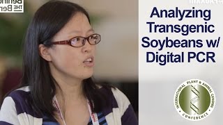 Analyzing Transgenic Soybeans PAGXXIII [upl. by Cindelyn]