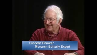 Lincoln Brower Monarch Butterflies Interview University of Florida Biography Life Overview 2013 [upl. by Garvey70]