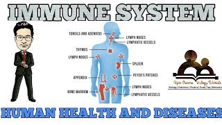 Our immune system  human health and disease NCERT for NEET and AIIMS [upl. by Ardnua]