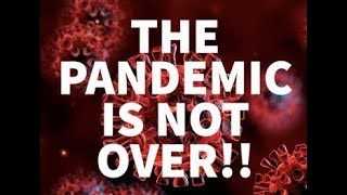 Mondays Pandemic Update The US Adds Another 1100 New Covid Deaths [upl. by Ahsinna]