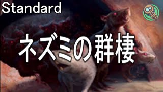 Standard  ネズミの群棲  Rat Colony 【MTG】 [upl. by Pals814]