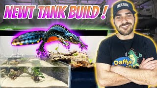 How To Build A Paludarium Step By Step [upl. by Colyer]