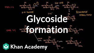 Carbohydrate  Glycoside formation hydrolysis  Chemical processes  MCAT  Khan Academy [upl. by Epperson]