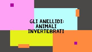 GLI ANELLIDI  ANIMALI INVERTEBRATI [upl. by Campy]