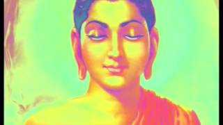 SHIVA ON ACID Trippy Video [upl. by Rigby]