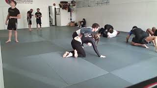 nogi bjj with dan 42824 [upl. by Ayyidas394]