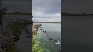 Conestoga Lake In Southeast Nebraska BoydOutdoors [upl. by Pirnot937]