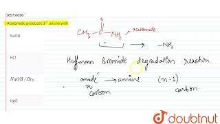 Acetamide produces 1 amine with  CLASS 12  ALDEHYDES KETONES AND CARBOXYLIC ACIDS  CHEMI [upl. by Oiracam134]