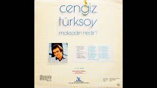 Cengiz Türksoy  Maksadın Nedir Original LP 1982 Analog Remastered [upl. by Dominik809]