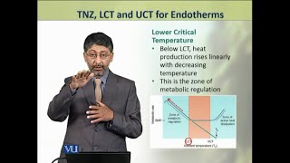 TNZ LCT and UCT for Endotherms  Animal Physiology and Behavior Theory  ZOO502TTopic224 [upl. by Christianna]