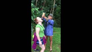 Honey Chugging at Lydgate Farms on Kauai [upl. by Enniotna]