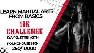 10000 Roundhouse Kicks Challenge Day 2  Master the martial arts basics [upl. by Bushey]