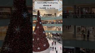 minivlog 201 Americaದಲ್ಲಿ Thanksgiving ಜೋರು 🦃 Mallನಲ್ಲಿ Ice skating kannadavlogs [upl. by Sukhum]