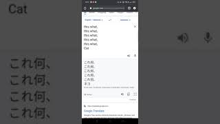 Kore Nani NEKO  Google Translate  English [upl. by Eecrad]