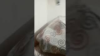 CCo hacer una casa o curco de cobijas en la cama like para la parte 2 [upl. by Caryn]