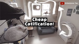 4 Ideas for Catification Catify on a Budget [upl. by Nilyarg]