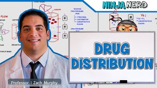 Pharmacokinetics  Drug Distribution [upl. by Leeanne]