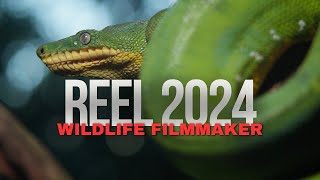 Wildlife Filmmaker  Documentalist  REEL 2024 [upl. by Forcier873]