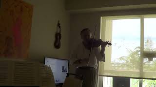 Guarneri Du Diable Violin Test 11 [upl. by Atimad530]