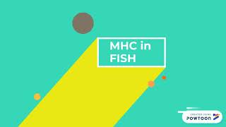 MHC in Teleost fish [upl. by Vito411]