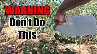 This Is Why You Should NOT Use Vinegar Weed Killer In The Garden [upl. by Cooley]