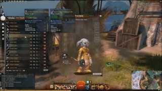 Guild Wars 2 Southsun Merchant Settler Weapons and Armor [upl. by Squire]