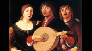 Bossinensis Recercar 15 14 2 11  Nicolae Szekely lute [upl. by Eitsyrc]