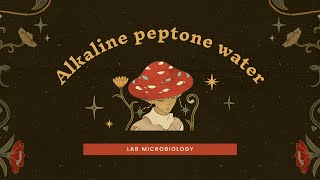 Alkaline peptone water [upl. by Artinak]