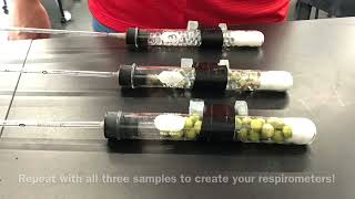 C126 Part 1  Measuring respiration using a respirometer [upl. by Rob975]