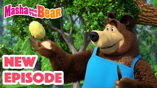 Masha and the Bear 2024 🎬 NEW EPISODE 🎬 Best cartoon collection 🥔 Soup Pursuit 🥕🍲 [upl. by Ordep952]