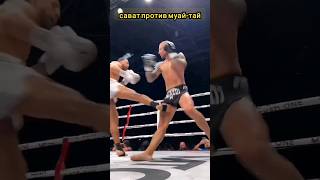 savate vs muay thai [upl. by Naaitsirhc190]