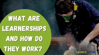 What Are Learnerships And How Do They Work  Careers Portal [upl. by Shanan]