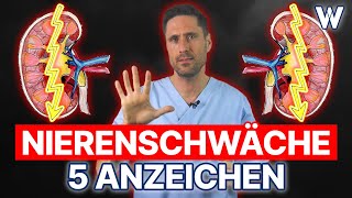 Nierenschwäche 5 Anzeichen dass Deine Nieren nicht richtig funktionieren  Typische Symptome [upl. by Annoyi912]