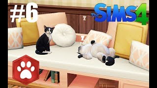 CHATONS et DÉBAUCHE 😏 6 LP Sims 4 Chiens et Chats [upl. by Erie]