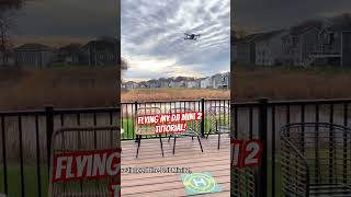 DJI Mini 2 Flying Tutorial shortvideo tiktok drone fun dad fypyoutube sky nature [upl. by Ellehcem]