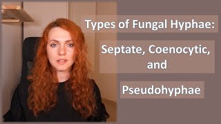 Types of Fungal Hyphae Septate Coenocytic and Pseudohyphae [upl. by Siduhey]