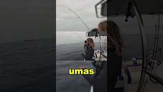 Dica Simples para Pescar Sem Sonda Funciona Mesmo [upl. by Limaj232]