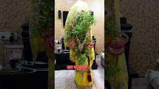 Kartik mas mein Tulsi Puja ka kya mahatva hai trendingshorts tulsi tulsivivah manishayadav [upl. by Gnas]