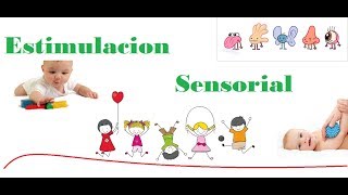 Estimulacion sensorial en niños teoría [upl. by Nohtan]