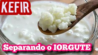 COMO SEPARAR O IOGURTE DO KEFIR PASSO A PASSO [upl. by Calvinna]