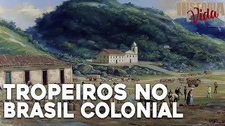 TROPEIROS NO BRASIL COLONIAL  Brasil Colônia  Aula de História para ENEMVestibulares e Concursos [upl. by Hsemin]